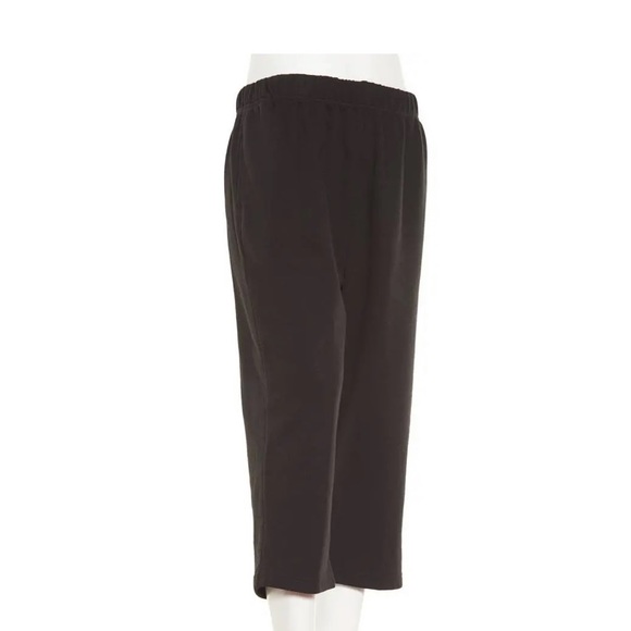 Specilation Pants & Jumpsuits Petite Speculation Solid Capris Pants